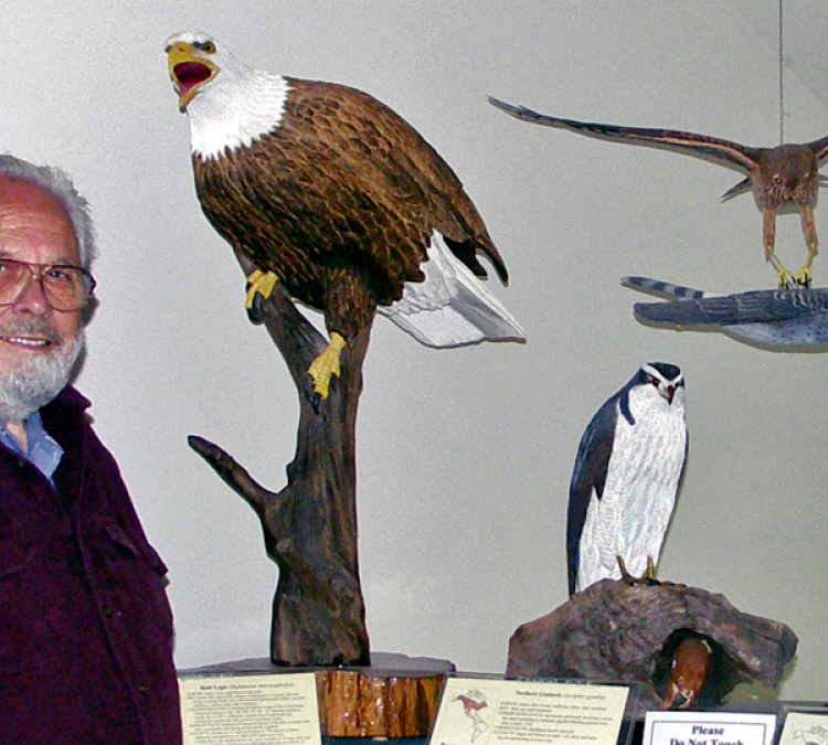 birds-of-vermont-museum-photo